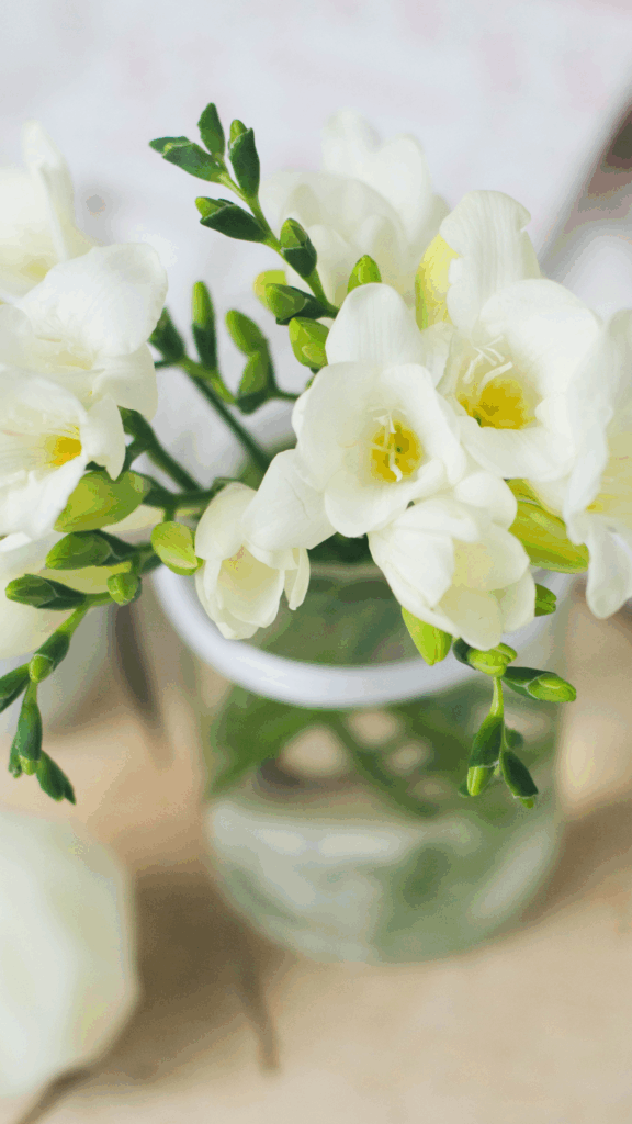 fotografia produktowa